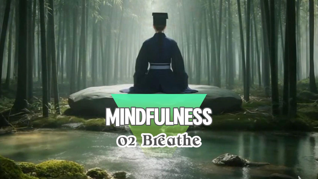 Mindfulness · 02: mindful breathing practice