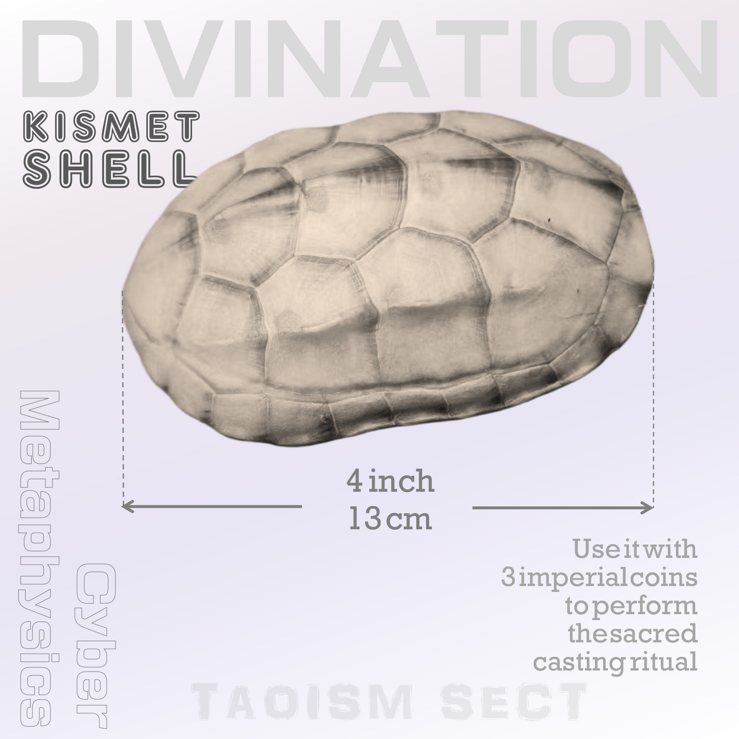 【Kismet Shell】Taoist Talisman; I Ching Divination tool;  White Tortoise Oracle Shell