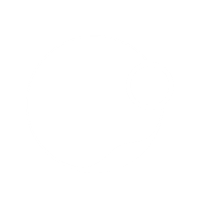 Taoism Sect